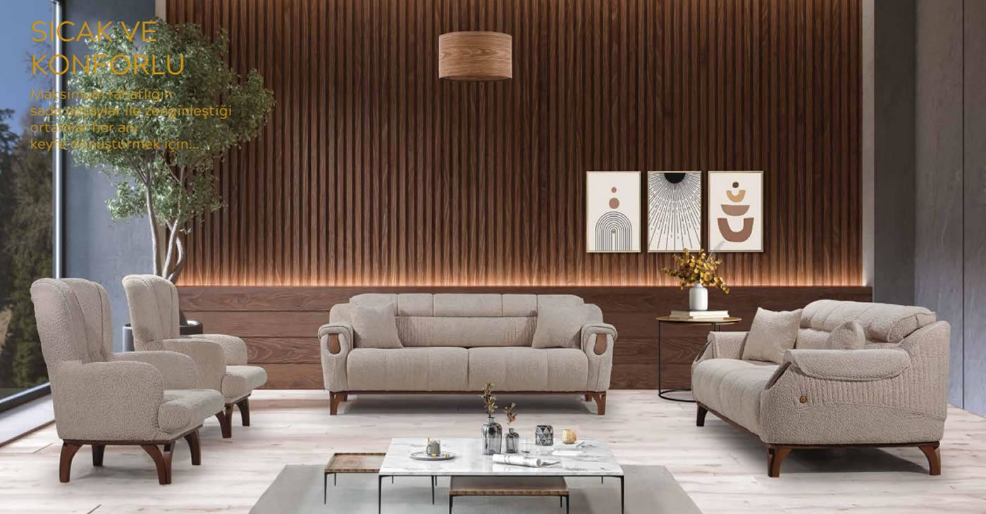 Fierro Koltuk Takımı